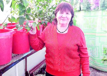 “Лимоннарым балаларым шикелле”