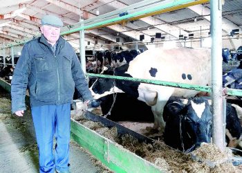 “Булмаган эшкә тотынма, дигәннәр иде…”