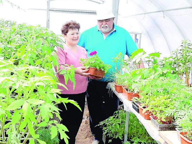 “Бакча эшен яратырга кирәк”