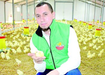 Максатым — халыкны авылда үскән, экологик чиста чеби ите белән тәэмин итү