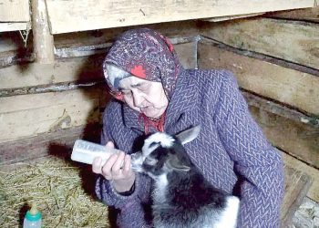 “Кәҗәләремә массаж ясыйм”