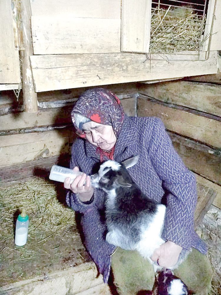 “Кәҗәләремә массаж ясыйм”