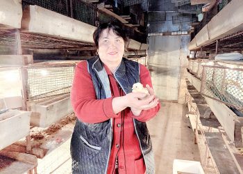 “Артык кызу булса да, артык салкын булса да, чебиләр үсми”