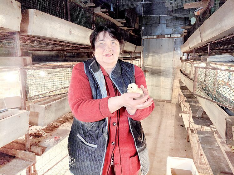 “Артык кызу булса да, артык салкын булса да, чебиләр үсми”