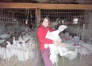 “Күркә белән сөйләшсәң, ул усал булмый”