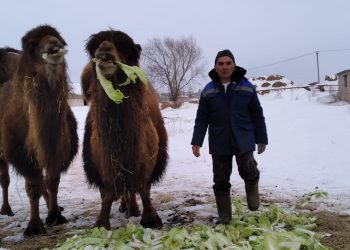 “ДӨЯ ТӨКЕРӘ, ДИЛӘР, БЕЗНЕКЕЛӘР ӘДӘПЛЕ”