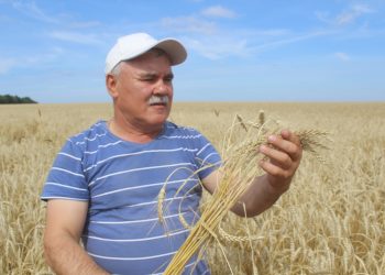 “БЕР ЕЛГА ҖИТӘРЛЕК ЯШЕЛЧӘНЕ БАКЧАДА ҮСТЕРӘ АЛАБЫЗ”