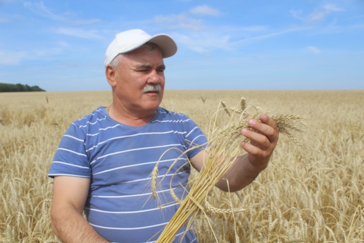 “БЕР ЕЛГА ҖИТӘРЛЕК ЯШЕЛЧӘНЕ БАКЧАДА ҮСТЕРӘ АЛАБЫЗ”