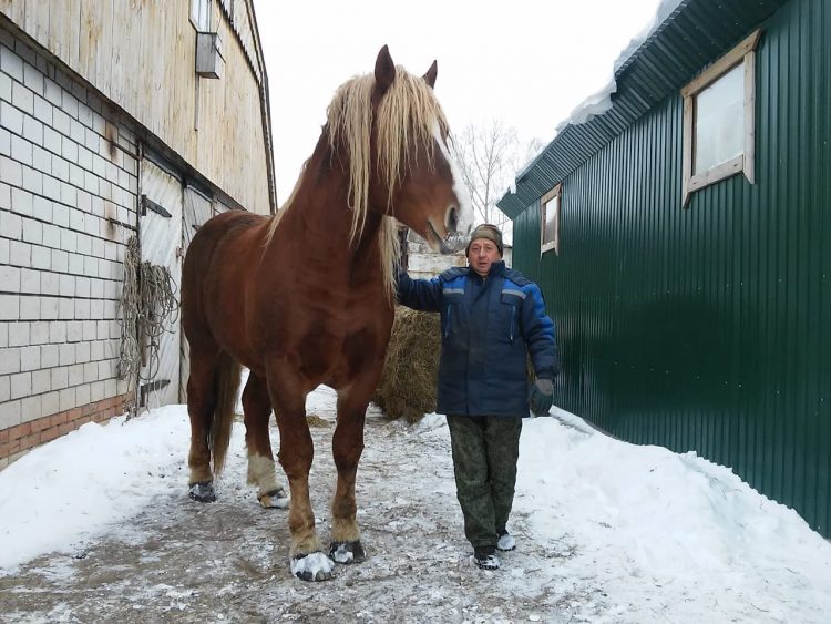 “БЕР АТ БӘЯСЕН 15 ТОННА СОЛЫ ДИП КИЛЕШКӘН ИДЕК”