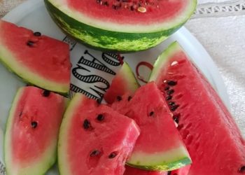 “КАРБЫЗНЫ АПРЕЛЬДӘ ЧӘЧЕП ӨЛГЕРЕРГӘ КИРӘК”