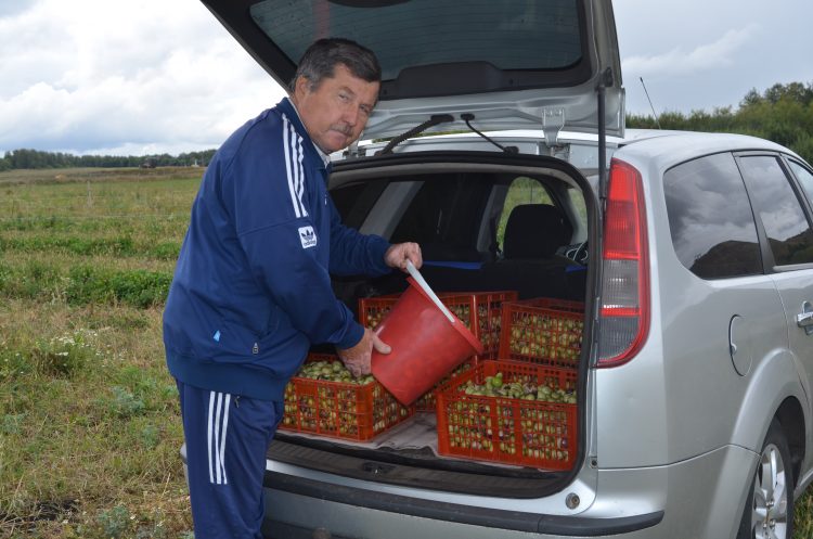 “ФИЗАЛИСТАН КАЙНАТМА, МАРМЕЛАД ЯСЫЙБЫЗ”