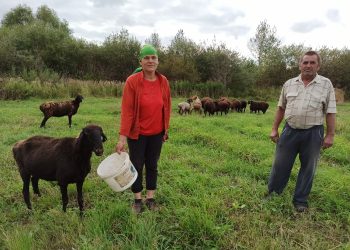 “МАЛ АСРАГАН КЕШЕНЕҢ ТАБЫНЫ БУШ БУЛМЫЙ”