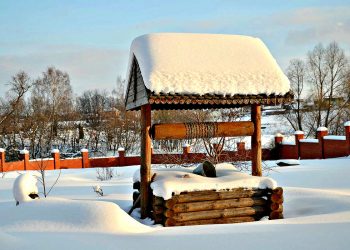 КОЕ ЯНЫНДА НИНДИ ДОГА УКЫРГА?