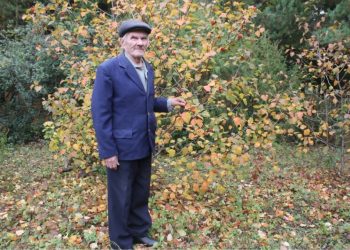 “БЕЗНЕҢ КЛИМАТТА ҮСӘ ТОРГАН АГАЧЛАРНЫ УТЫРТТЫМ”