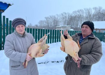 БАШКОРТСТАНДА ЯШӘҮЧЕ РОЗА ХӨСӘЕНОВА: “АТА КҮРКӘНЕ ДӘ ОЯГА УТЫРТКАНЫМ БАР”
