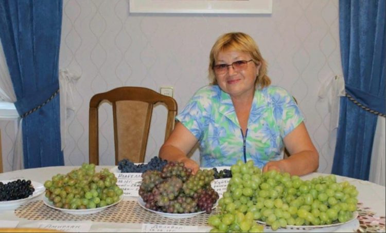 ВИНОГРАДНЫ ЧЫБЫКЧАДАН НИЧЕК ҮСТЕРЕРГӘ?