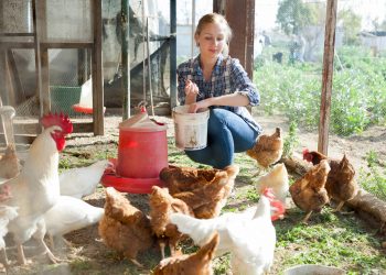 ТАВЫККА АНТИБИОТИК НИГӘ КИРӘК?