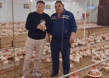 “КОШ-КОРТНЫ БЕЛГӘН САТУЧЫДАН АЛЫРГА КИРӘК”