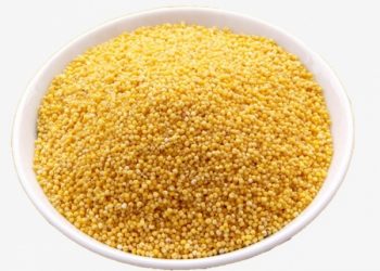 ТАРЫ — АШКАЗАНЫНА ДӘВА