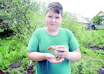 “БЕР ТАВЫК 14 ЙОМЫРКАНЫ АСТЫНДА ҖЫЛЫТА АЛА”