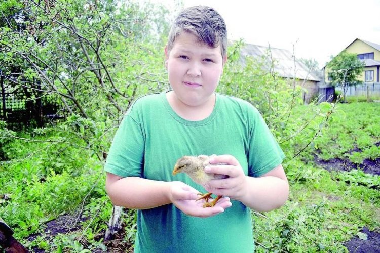 “БЕР ТАВЫК 14 ЙОМЫРКАНЫ АСТЫНДА ҖЫЛЫТА АЛА”