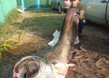 “МОНДЫЙ ЗУР ҖӘЕН ТОТКАНЫМ ЮК ИДЕ”