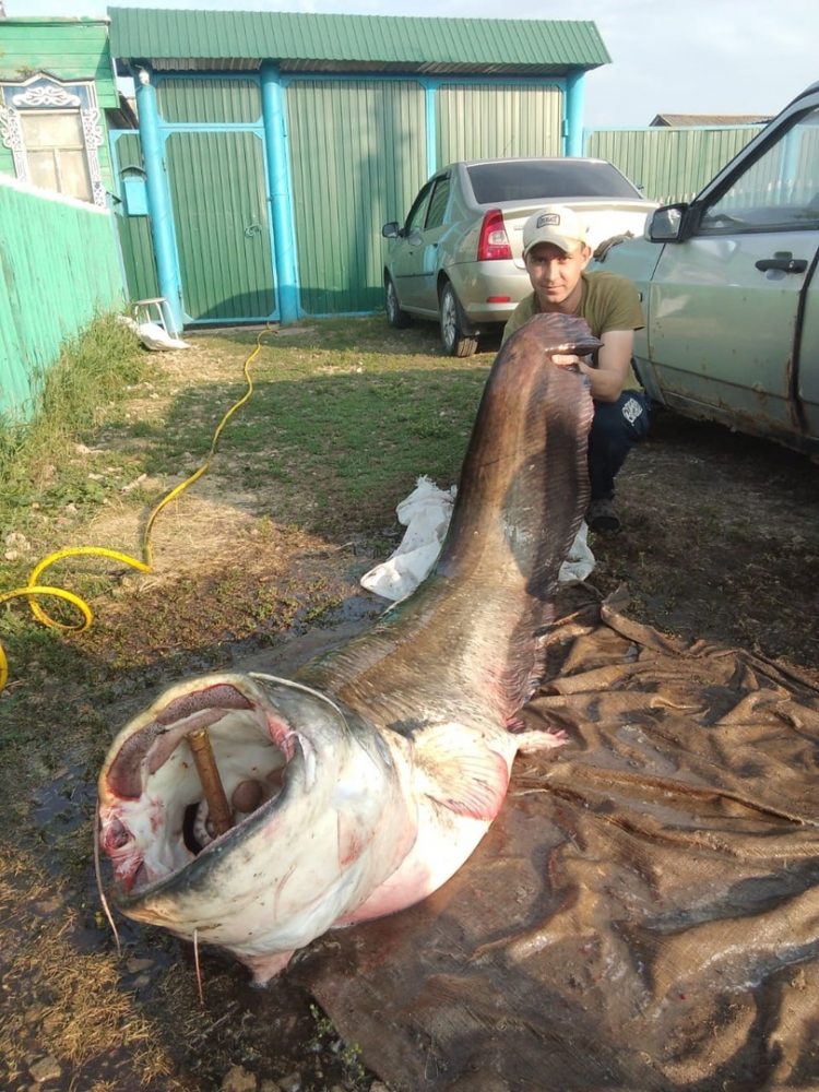 “МОНДЫЙ ЗУР ҖӘЕН ТОТКАНЫМ ЮК ИДЕ”