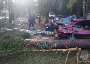 ДАВЫЛДА ЗЫЯН КҮРҮЧЕЛӘР:  “АХЫРЗАМАН ДИП УЙЛАДЫК”