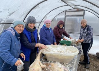 “БЫЕЛ 100 КАЗ БӘБКӘСЕ АЛДЫК”