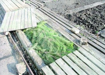 ВИНОГРАДНЫ КЫШКА ӘЗЕРЛИБЕЗ