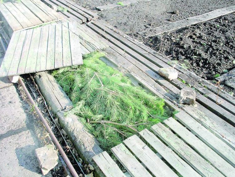 ВИНОГРАДНЫ КЫШКА ӘЗЕРЛИБЕЗ