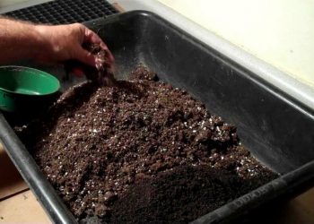 ТУФРАК ӘЗЕРМЕ?