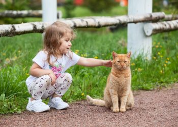 “МӘЧЕЛӘР ДӘ СТРЕССТАН АВЫРЫЙ”