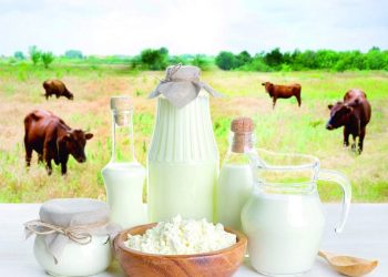 “КИБЕТТӘ СУ БЕЗНЕҢ СӨТТӘН КЫЙММӘТРӘК ТОРА”