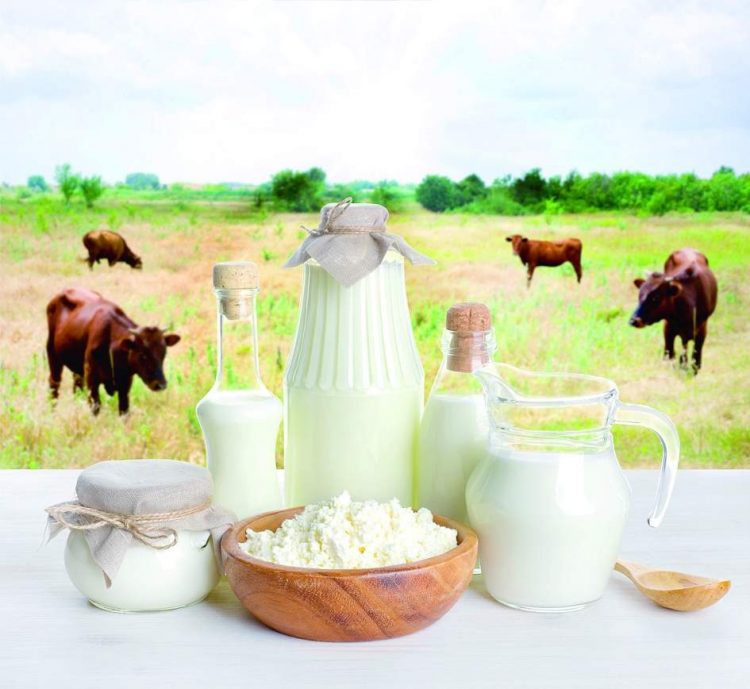 “КИБЕТТӘ СУ БЕЗНЕҢ СӨТТӘН КЫЙММӘТРӘК ТОРА”