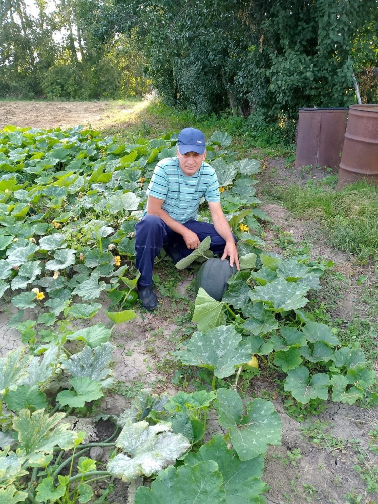 “КАРБЫЗ-КАВЫН КЫЗУ ҖӘЙНЕ ЯРАТА”