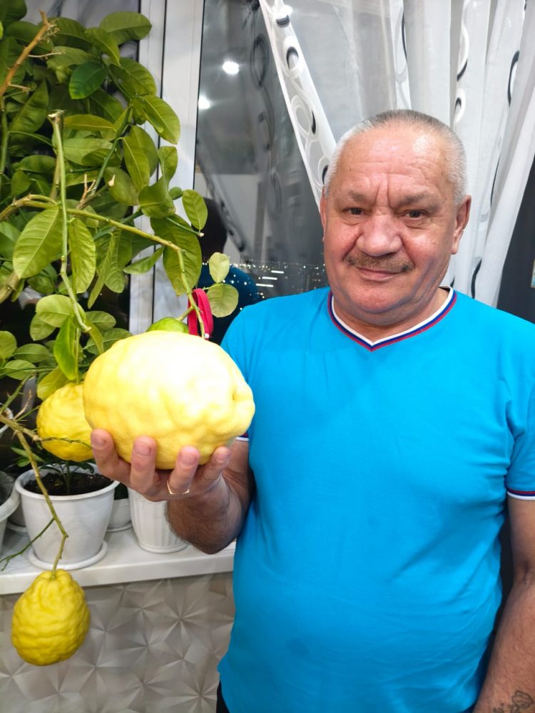 “ЛИМОНГА ӨЛГЕРЕРГӘ ЯРТЫ ЕЛ ВАКЫТ КИРӘК”