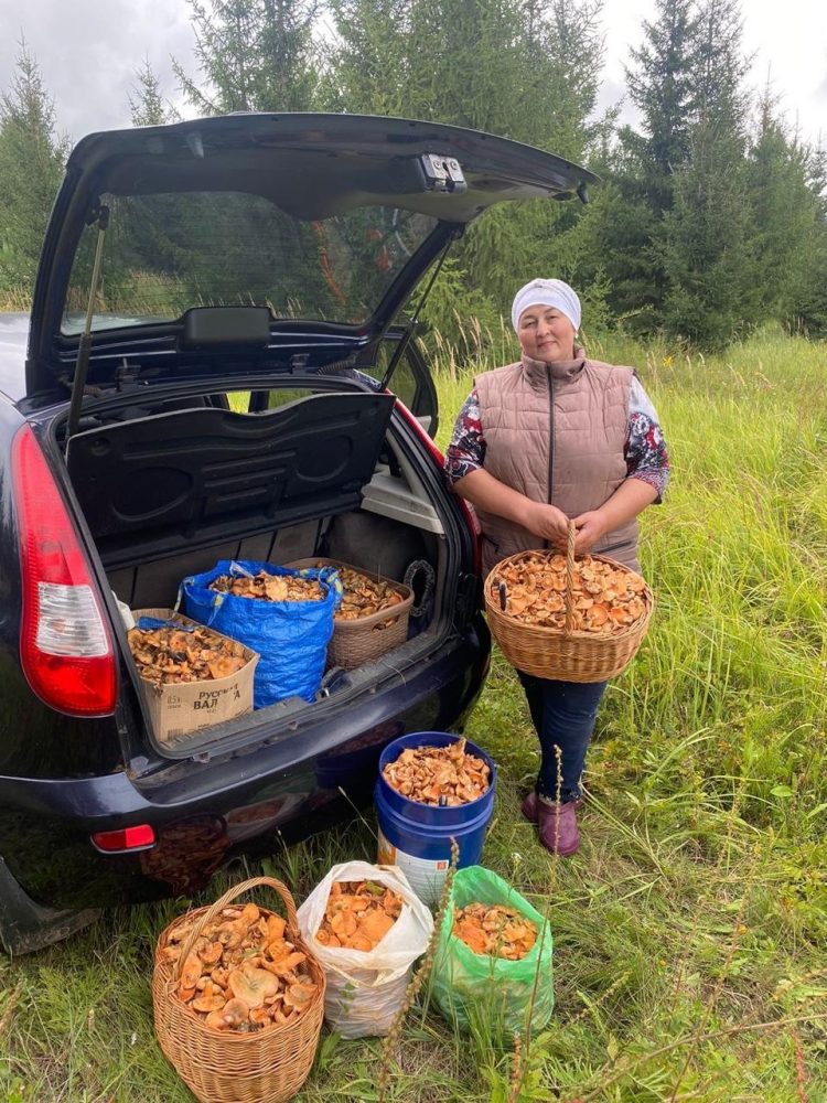 “400 МЕҢ СУМЛЫК ГӨМБӘ САТТЫК”