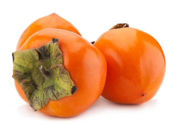 ХӨРМӘ САЙЛЫЙБЫЗ