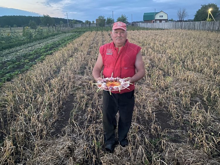 САРЫМСАК ПАТШАСЫ