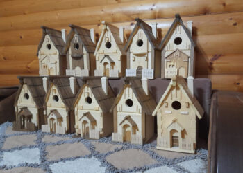 “ЕЛЫНА 100 ОЯ ЯСАГАН ВАКЫТЛАР БАР”