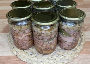 ТӘМЛЕ ТУШЕНКА