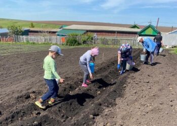 “БӘРӘҢГЕНЕ САЛКЫН ҖИРГӘ УТЫРТУДАН ФАЙДА ЮК!”
