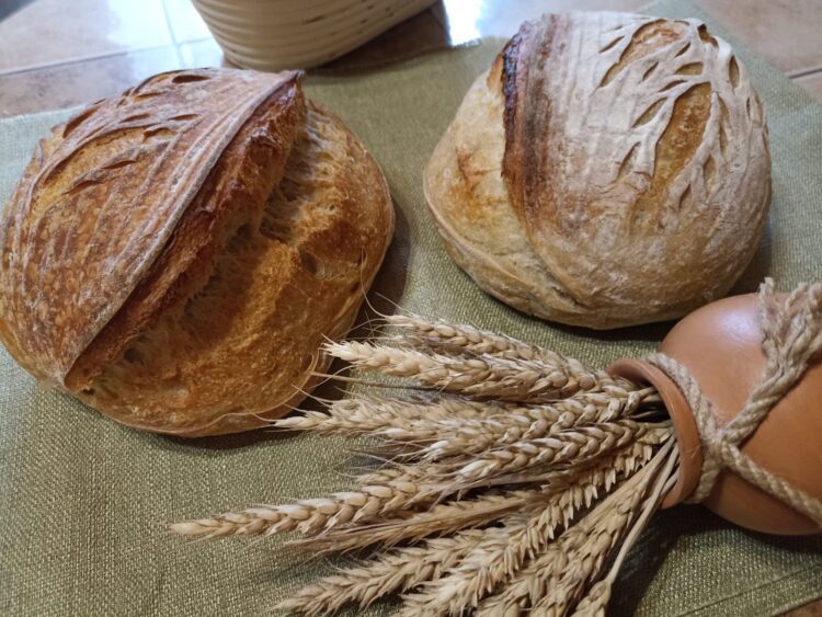 “ИПИ САЛГАН КӨННЕ ӨЙДӘН ЧЫГЫП КИТЕП БУЛМЫЙ”