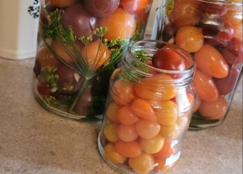 САРЫМСАКЛЫ ПОМИДОР