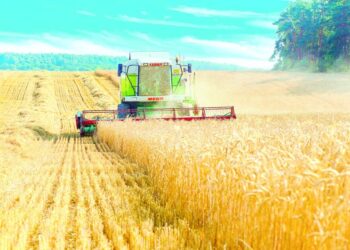 “БӘЯЛӘР АРТА, АШЛЫК ХАКЫ ГЫНА ҮСМИ”