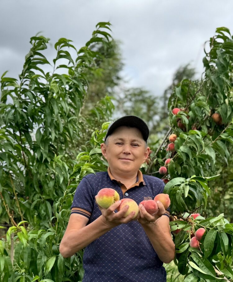 “БӘРӘҢГЕ БАКЧАСЫННАН ҖИЛӘК-ҖИМЕШ ПЛАНТАЦИЯСЕ ЯСАДЫМ”