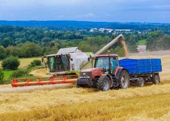 ПАЙ ҖИРЕНӘ НӘРСӘ АЛДЫГЫЗ?